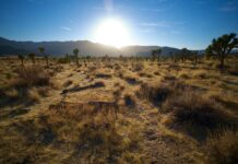SOCAL Heat Advisory, Including Beverly Hills