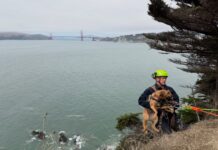 Dog Rescued By SFFD Near Dead Man’s Point