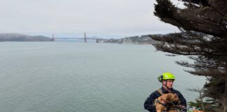 Dog Rescued By SFFD Near Dead Man’s Point