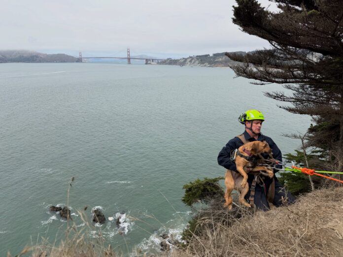 Dog Rescued By SFFD Near Dead Man’s Point