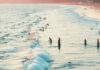 High Surf, Beach Swells Prompt Nearly 2,000 Beach Rescues