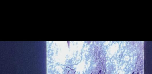 Morgan Wallen Shines In Philadelphia!