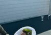 SFFD Rescue Green Parrot