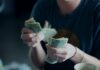 Do Not Spend Frivolously America?