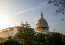 Why Is There So Much Corruption In Government?
