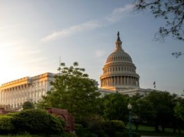 Why Is There So Much Corruption In Government?