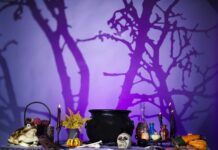 Christmas And Halloween Merch In September!