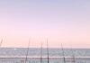 Warm Water And Great Fishing In Santa Monica
