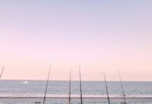 Warm Water And Great Fishing In Santa Monica