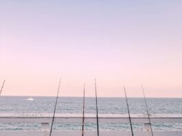 Warm Water And Great Fishing In Santa Monica