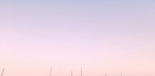 Warm Water And Great Fishing In Santa Monica