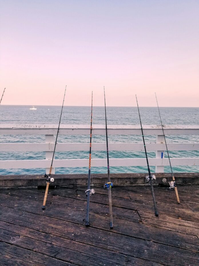Warm Water And Great Fishing In Santa Monica