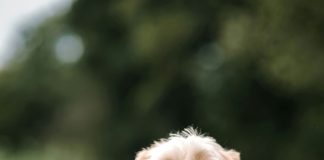 Stolen Mini Labradoodle ‘Easton’ Reunited With Owner