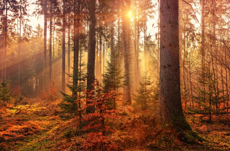 Fall’s Arrival Is Here!