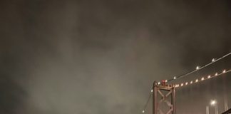 SFFD Makes Bay Rescue Near Golden Gate Bridge