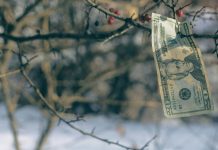 Money Does Not Grow On Trees