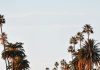 Dr. Phil Sells Calabasa Mansion In Beverly Hills